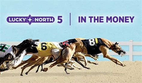 Find everything you need to know about greyhound & horse racing at TrackInfo. . Wheeling island race results